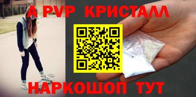 твердый Кингисепп