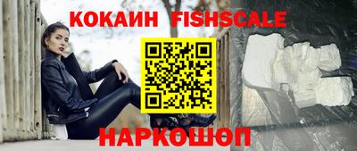 твердый Кингисепп