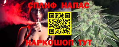 твердый Кингисепп