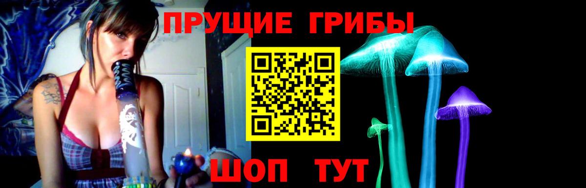 Балашов  Галлюциногенные грибы Psilocybine cubensis  даркнет сайт  Вход с VPN 